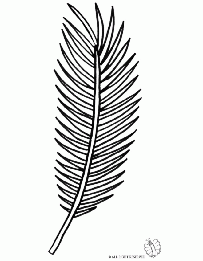Coloring Page of Palm Leaf for coloring for kids - sketchue.com