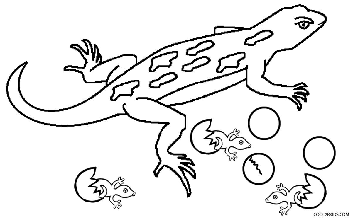 10 Pics of Cute Baby Lizard Coloring Pages - Cute Lizard Coloring ...