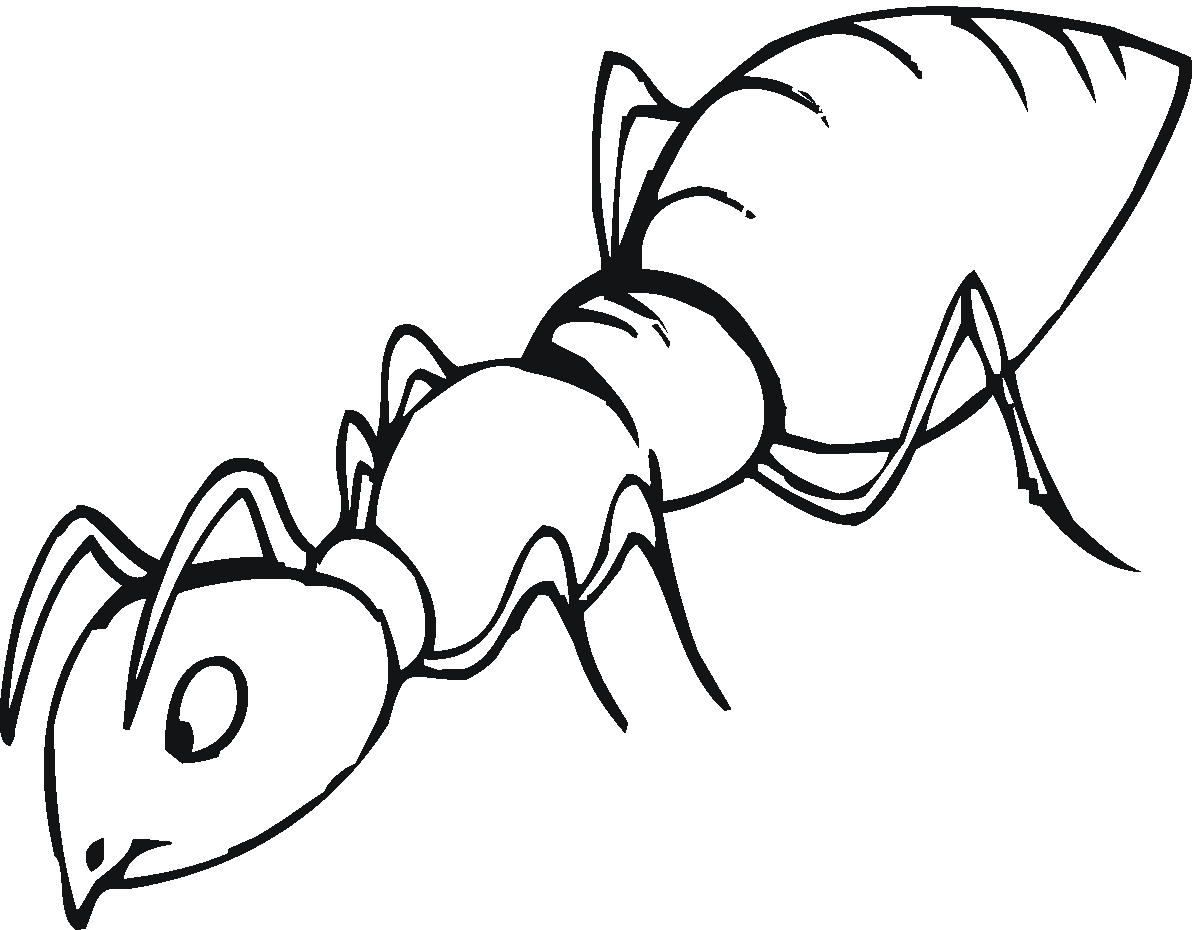 Ant Coloring Page (18 Pictures) - Colorine.net | 8464