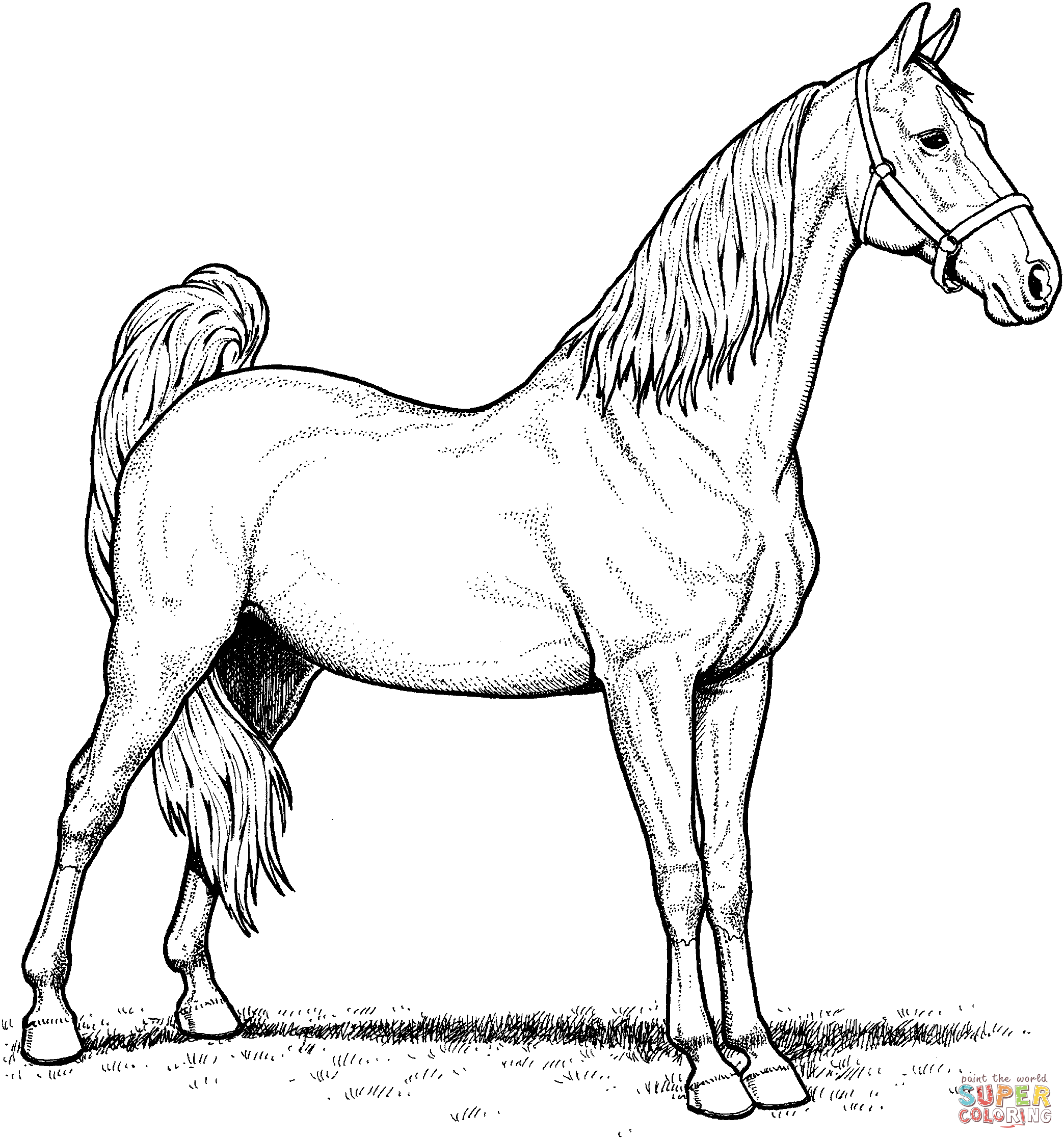 free printable horse coloring pages only coloring pages coloring home