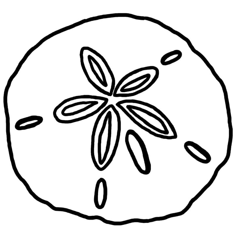 Free Sand Dollar Coloring Page - Free Printable Coloring Pages for Kids
