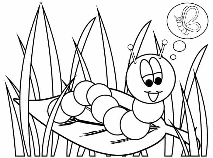 Caterpillar Coloring Pages PDF For Children - Coloringfile.com