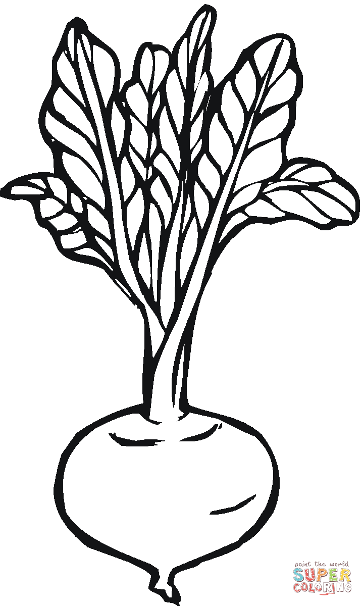 Beetroot 3 coloring page | Free Printable Coloring Pages