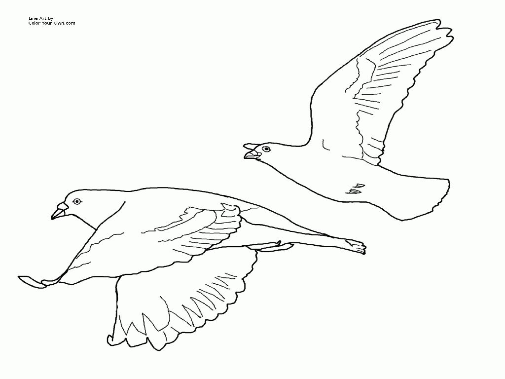 Cute Coloring Pages Of Pigeon - Coloring Home