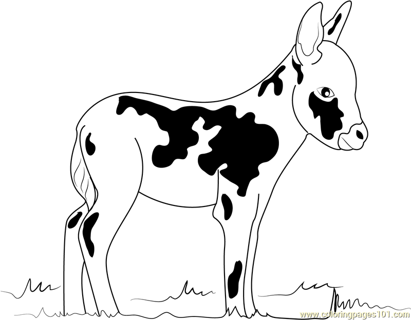 Miniature Donkey Coloring Page - Free Donkey Coloring Pages ...