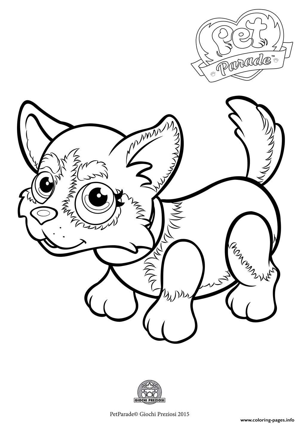 Print pet parade cute dog husky Coloring pages Free Printable
