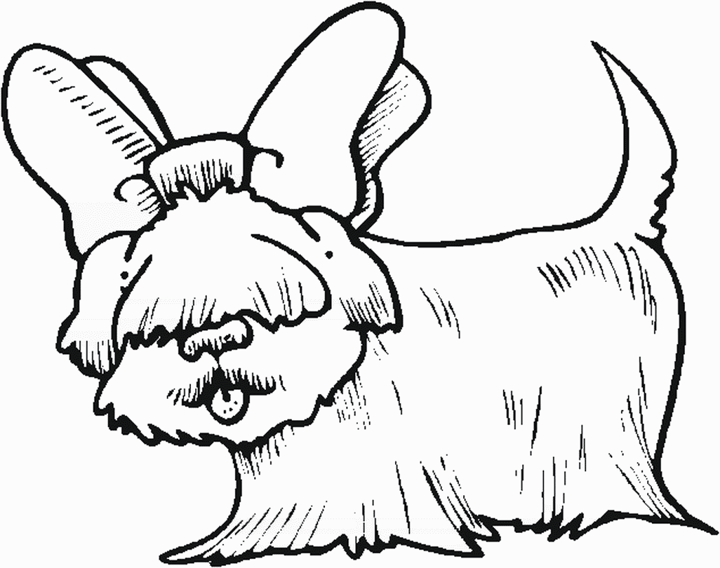 Coloring Pages Fluffy Dogs - Coloring Home