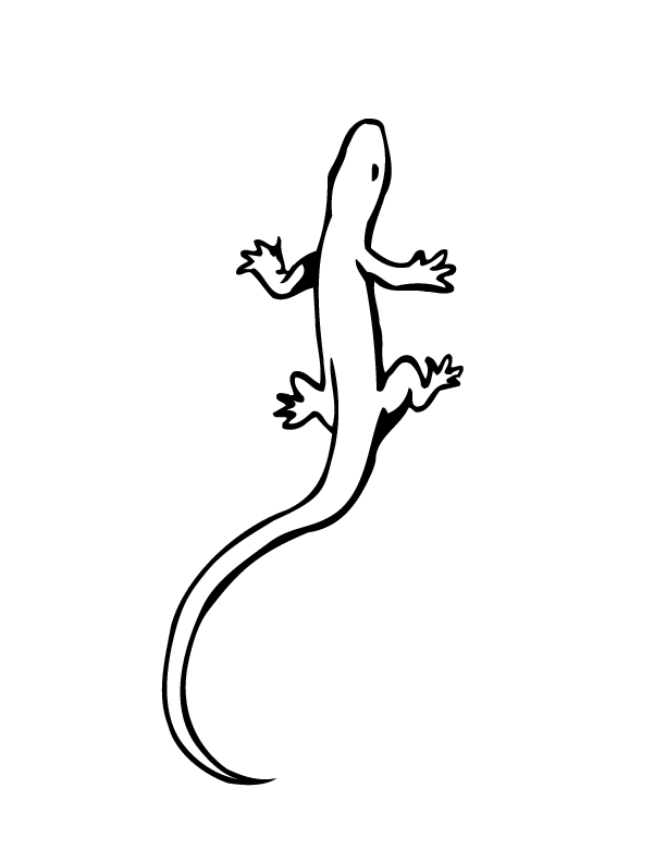 Lizard Images - Cliparts.co