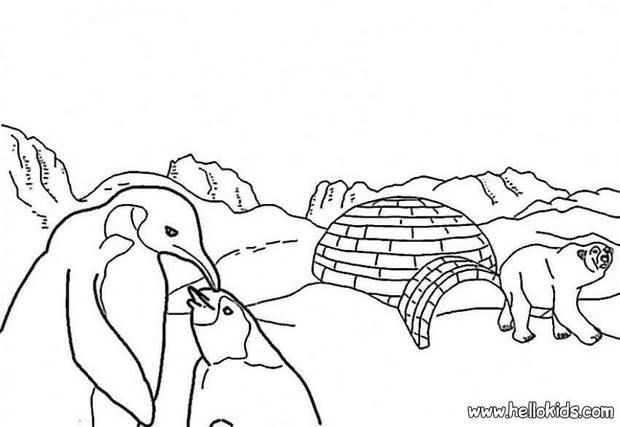 Convenient Sid The Science Kid Coloring Pages Arctic Animals ...