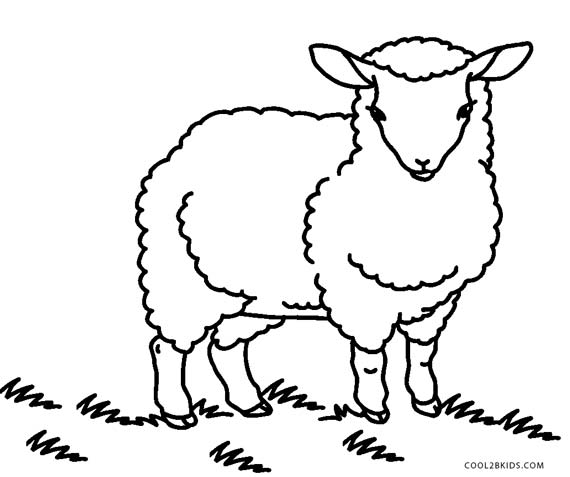 Free Printable Sheep Face Coloring Pages For Kids | Cool2bKids