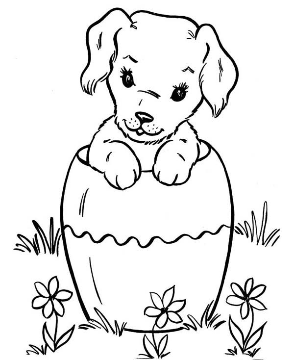 Dog Hiding In Big Vase Coloring Page : Color Luna | Dog coloring page, Dog coloring  book, Puppy coloring pages