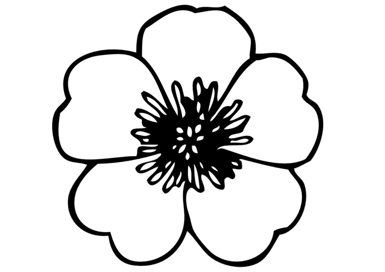 Coloring Page pansy - free printable coloring pages - Img 11718