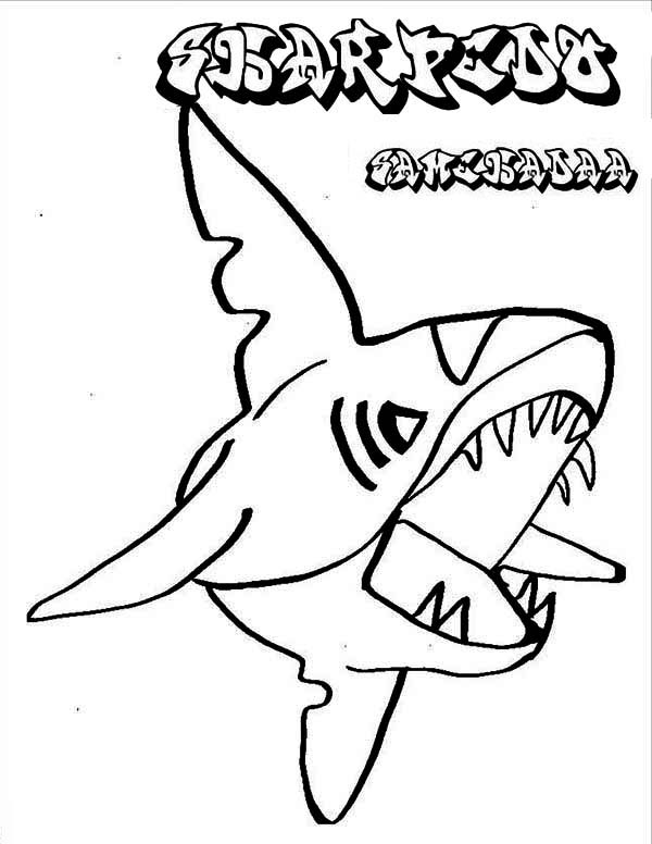 Pokemon Shark Character Sharpedo Coloring Page : Kids Play Color