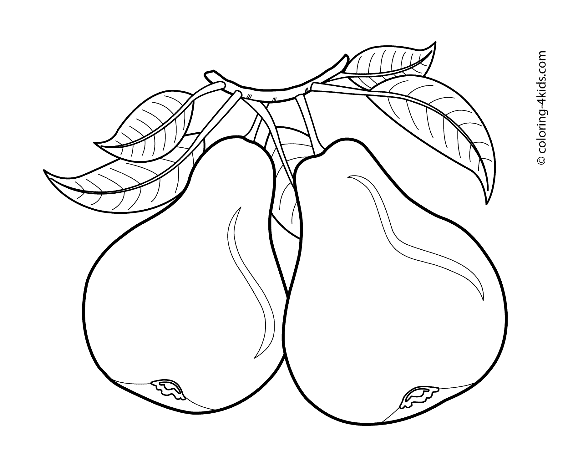 Pears Fruits Coloring Pages For Kids, Printable Free | Fruit Coloring Pages, Coloring Pages, Coloring Pages For Kids - Coloring Home