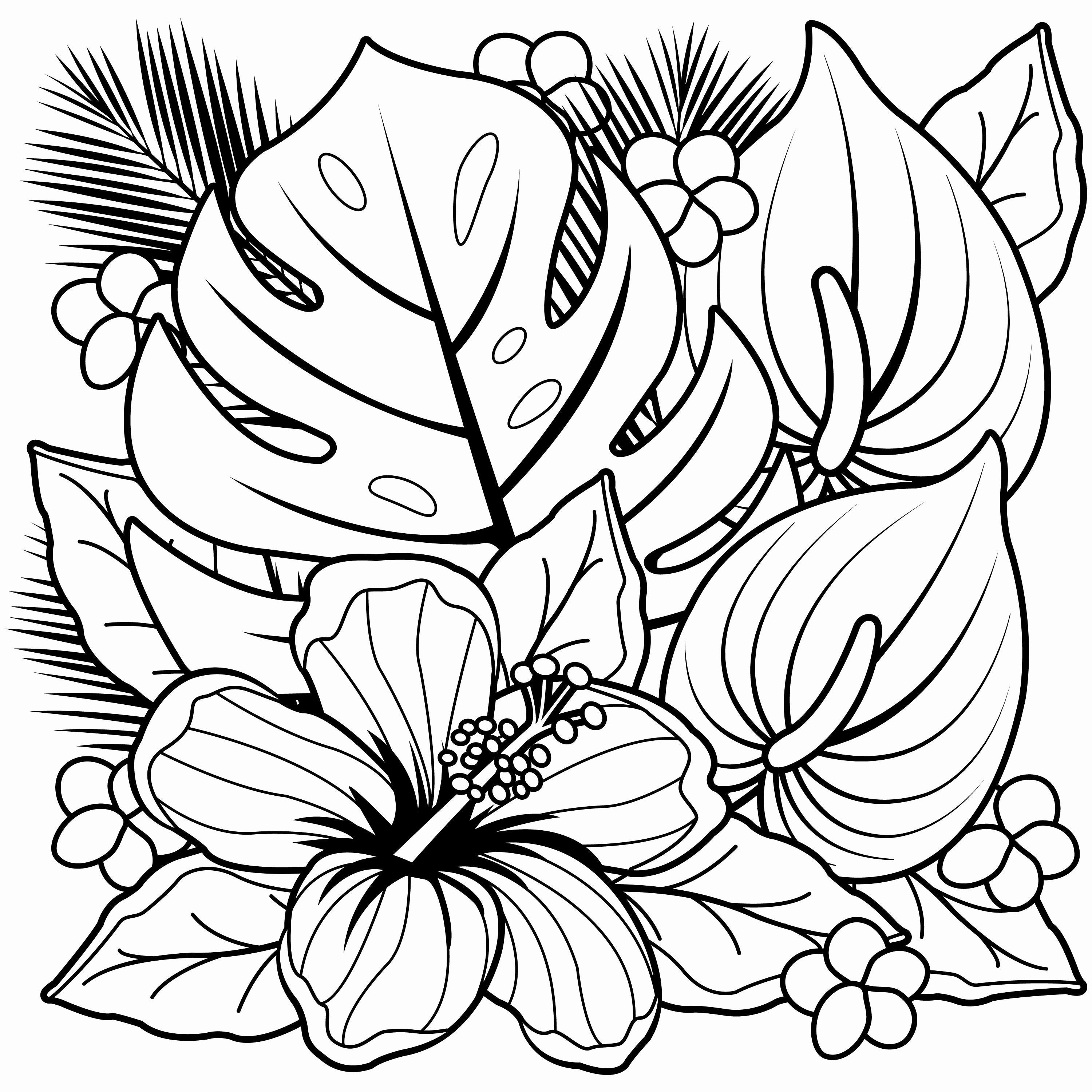 Large Flowers Coloring Pages   Coloring Home