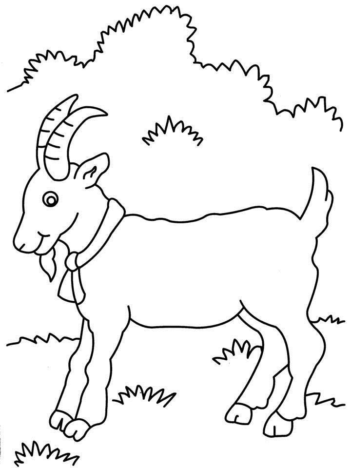 Free Cute Goat Coloring Pages Http://letmehit.com/goat-coloring