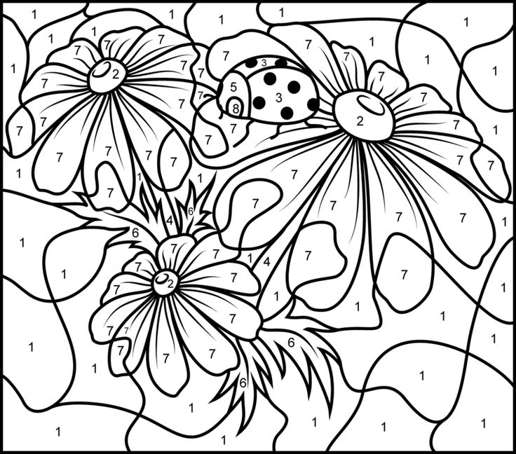 Coloring By Number Pages For Adults