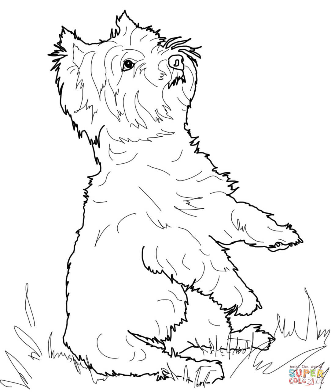 Yorkie Coloring Page   Coloring Home