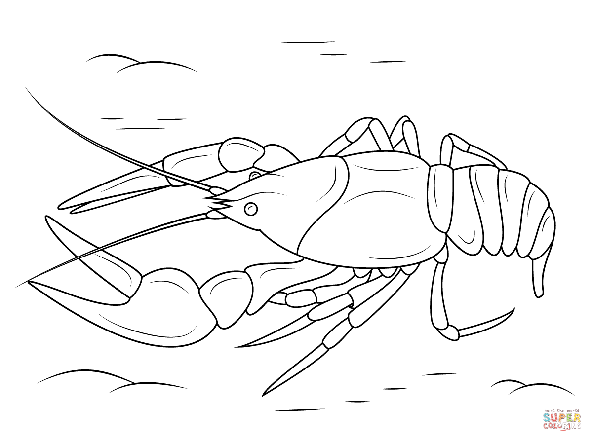 Crawfish coloring page | Free Printable Coloring Pages