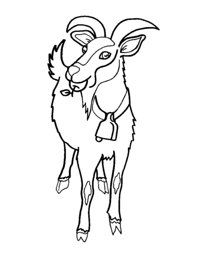 Wild Animal Coloring Pages | Herd of Goats Coloring Page and Kids 