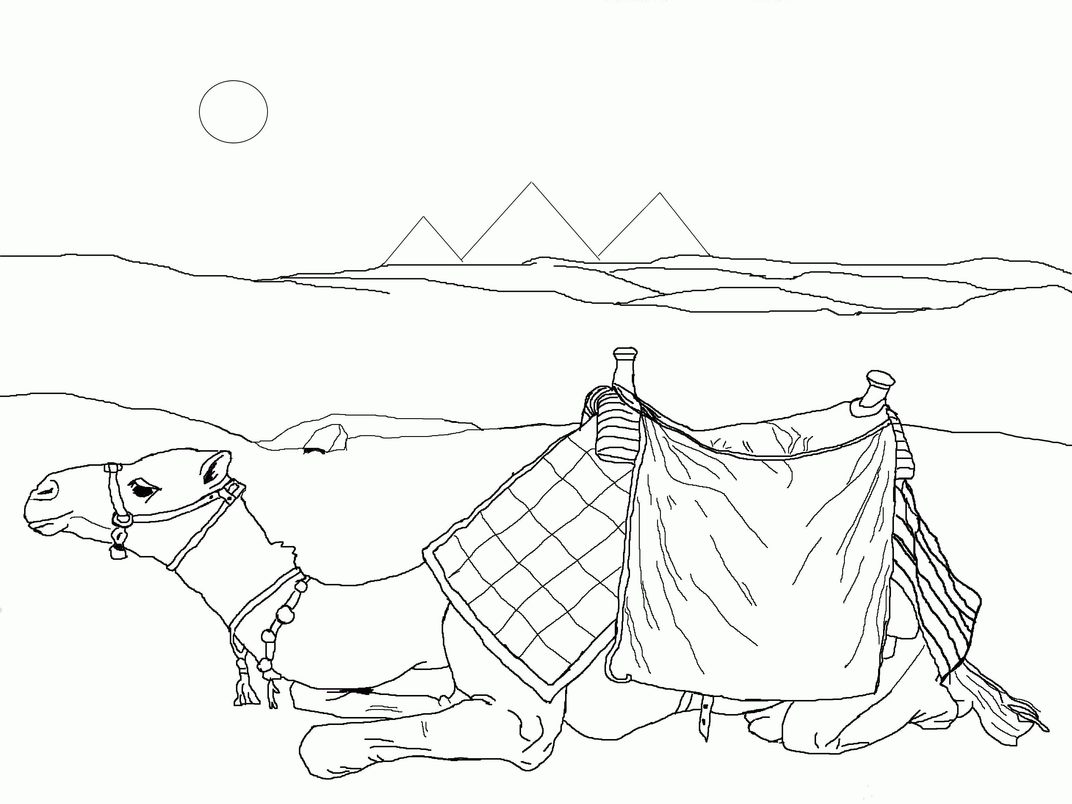 Sahara Desert Coloring Pages - HiColoringPages