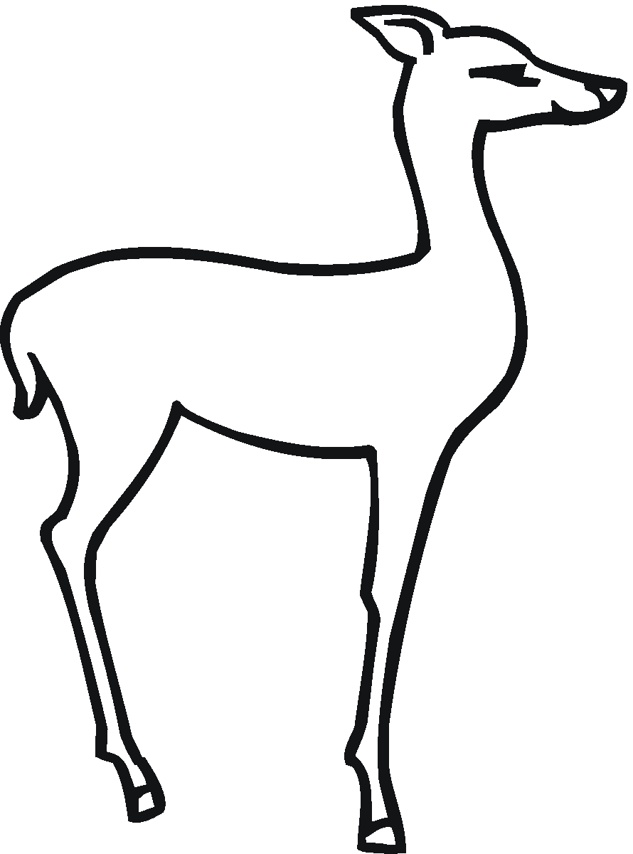 Buck And Doe Coloring Pages - Coloring Home