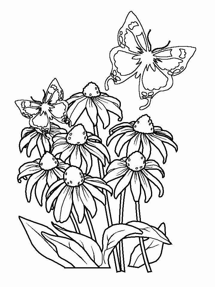 butterfly-and-flower-coloring-pages-for-adults-3.jpg