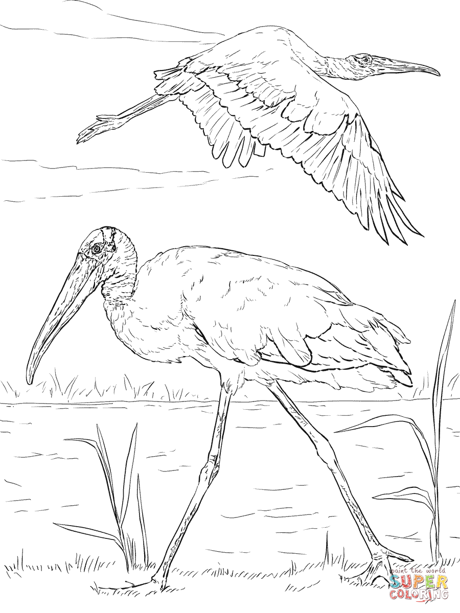 Stork coloring pages | Free Coloring Pages