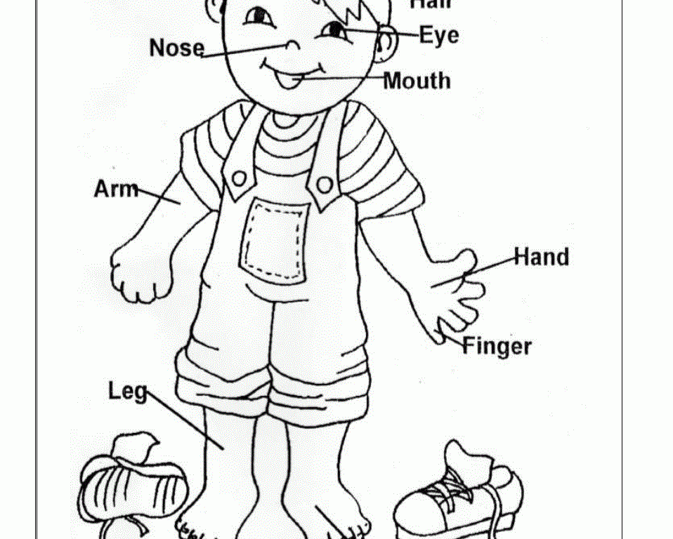 Preschoolers Coloring Pages Of The Human Body - Coloring Home