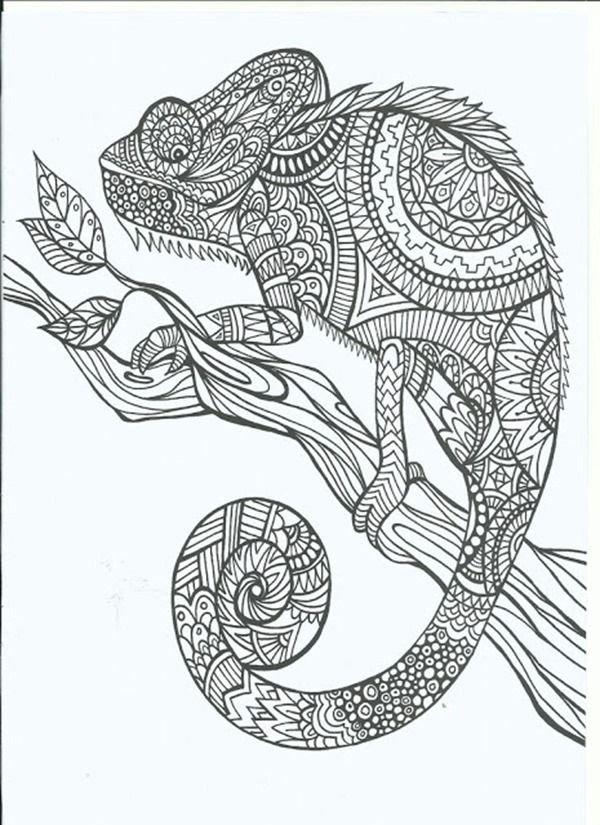 Free Printable Coloring Pages for Adults {12 More Designs}