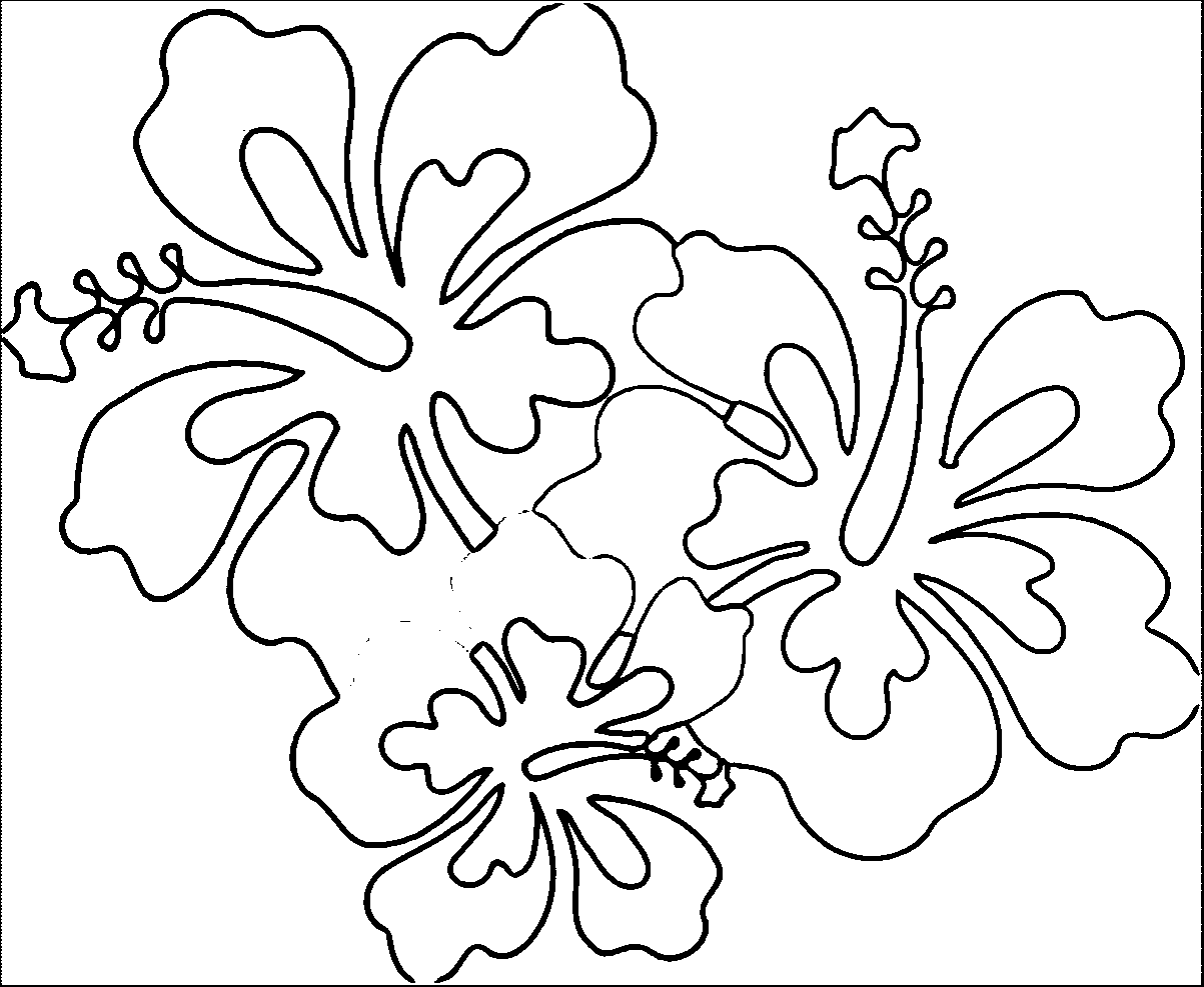 Hawaiian Flowers Coloring Page - Coloring Home