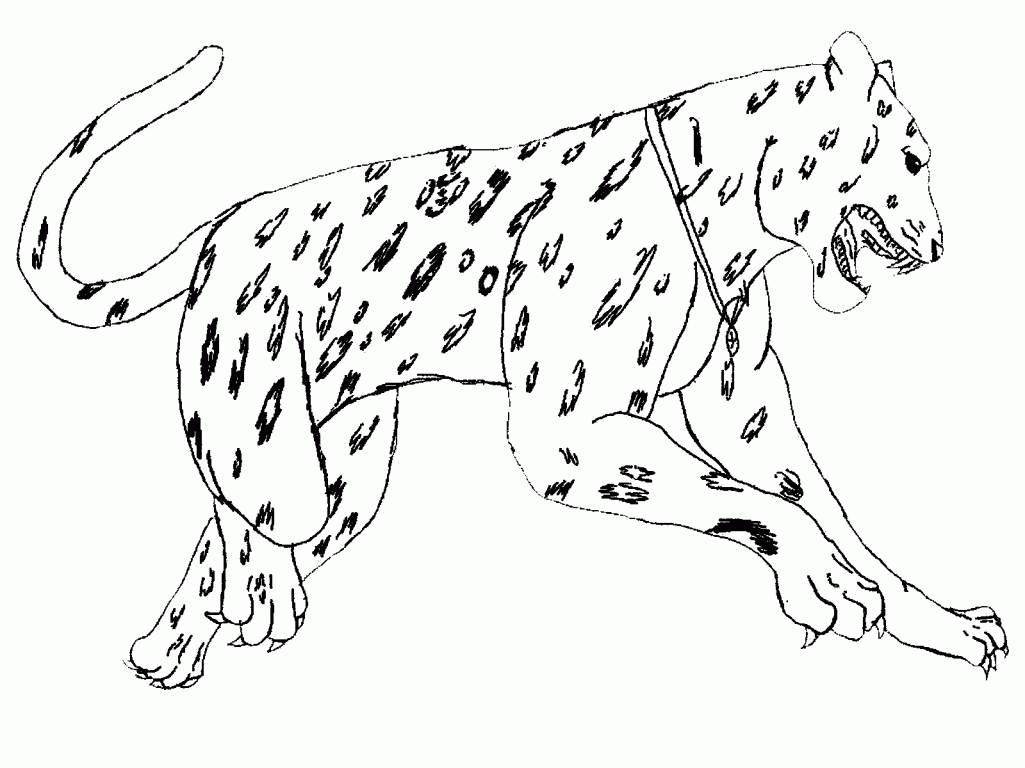 South American Animals Coloring Pages | Step ColorinG