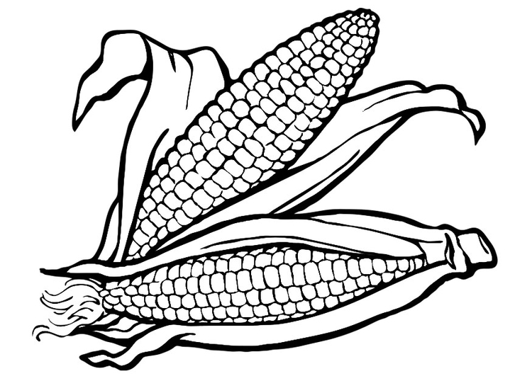 Coloring Page corn - free printable coloring pages