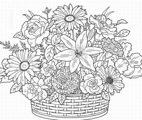 coloring pages : Detailed Coloring Books Best Of Image Detail For Free  Printable Coloring Pages For Adults Detailed Coloring Books ~ peak