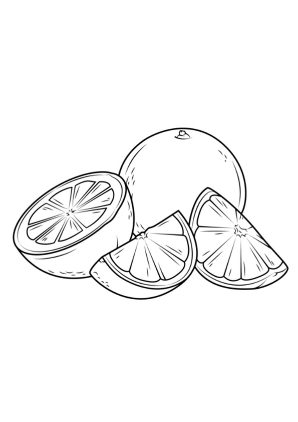 Coloring Pages | Orange Fruit Coloring Page for Kids