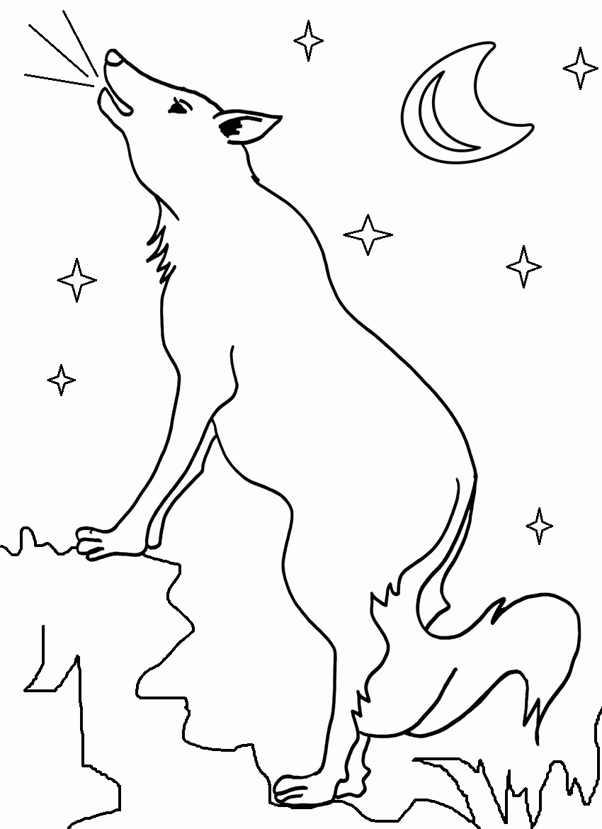 Baby Wylie Coyote Coloring Pages Coloring Pages