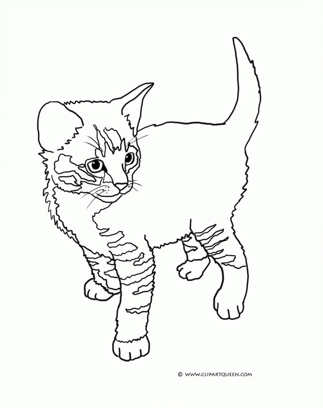 9 Pics of Tabby Cat Coloring Pages Printable - Tabby Cat Coloring ...