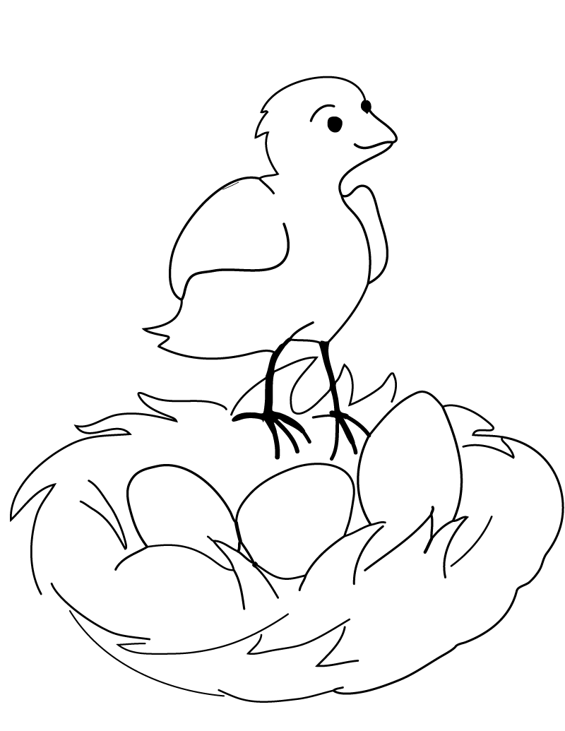 Bird Egg Coloring Page - Coloring Pages For All Ages
