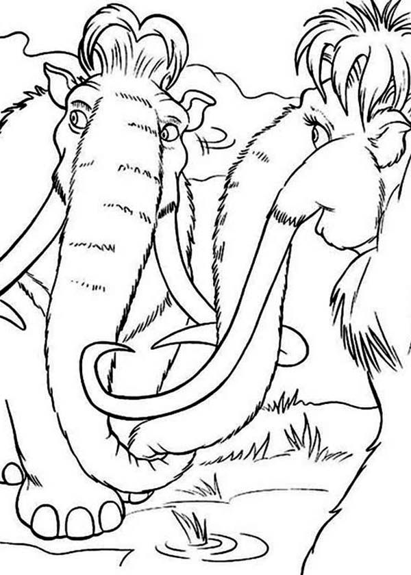 The Animals of the Ice Age Pre Historic Animals Coloring Pages ...