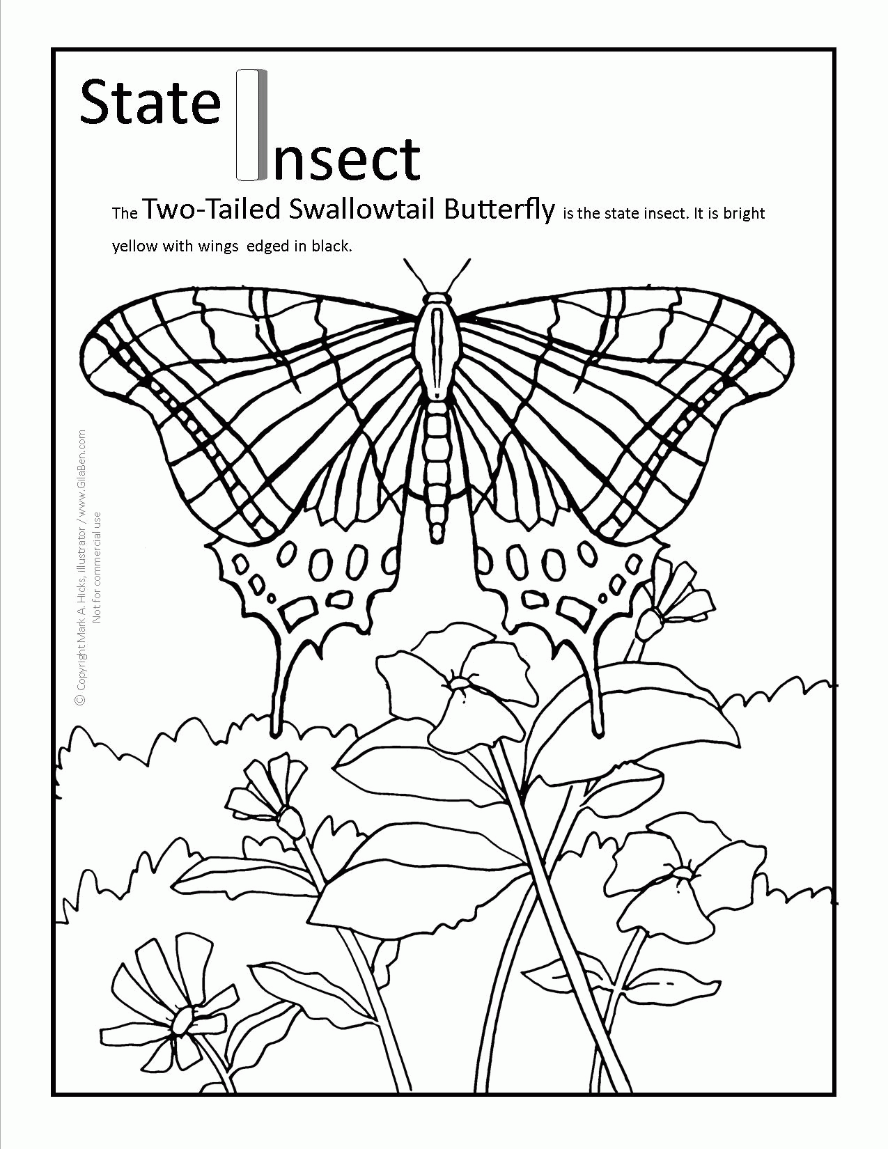 8 Pics of Minnesota State Insect Coloring Page - Florida State ...