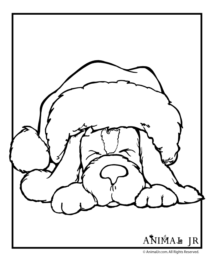 Christmas Printables: Puppy Coloring Pages | Animal Jr.