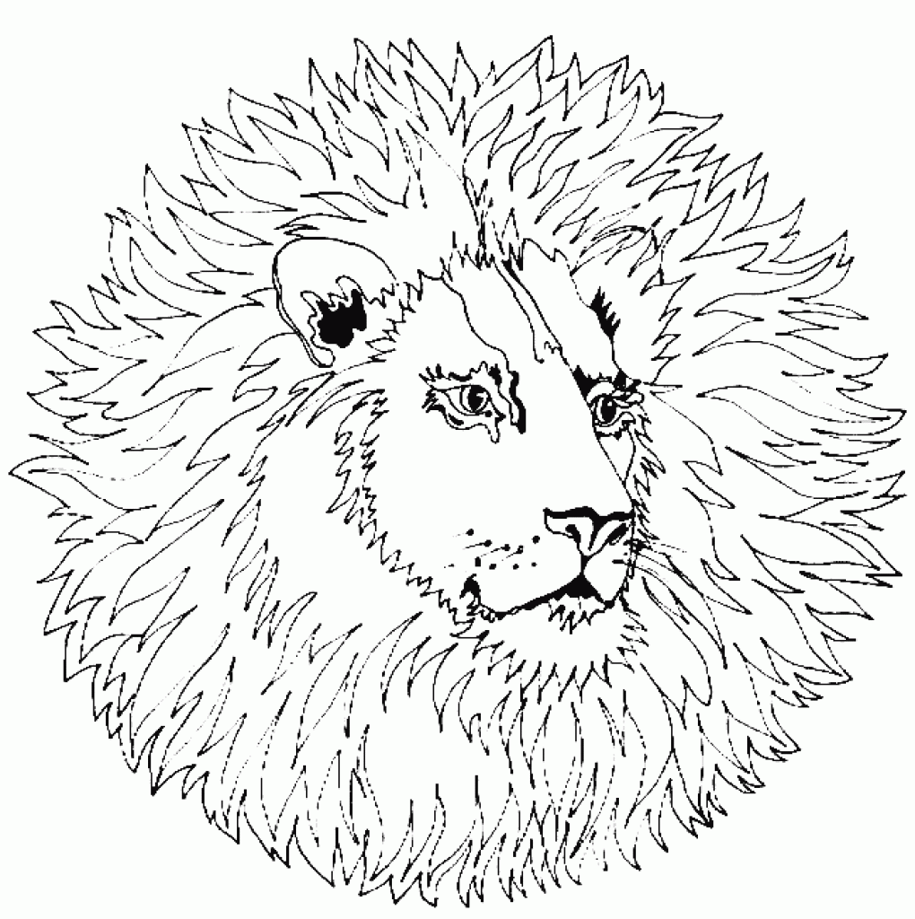 Complex Coloring Pages Of Animals   Coloring Home