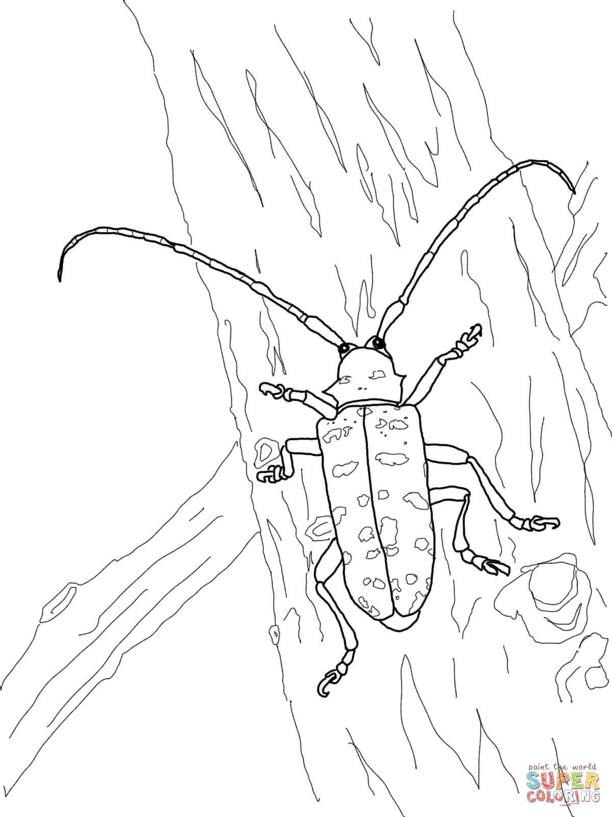 Beetles coloring pages | Free Coloring Pages