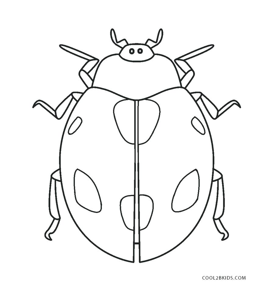 ladybug girl coloring pages – axialsheet.co
