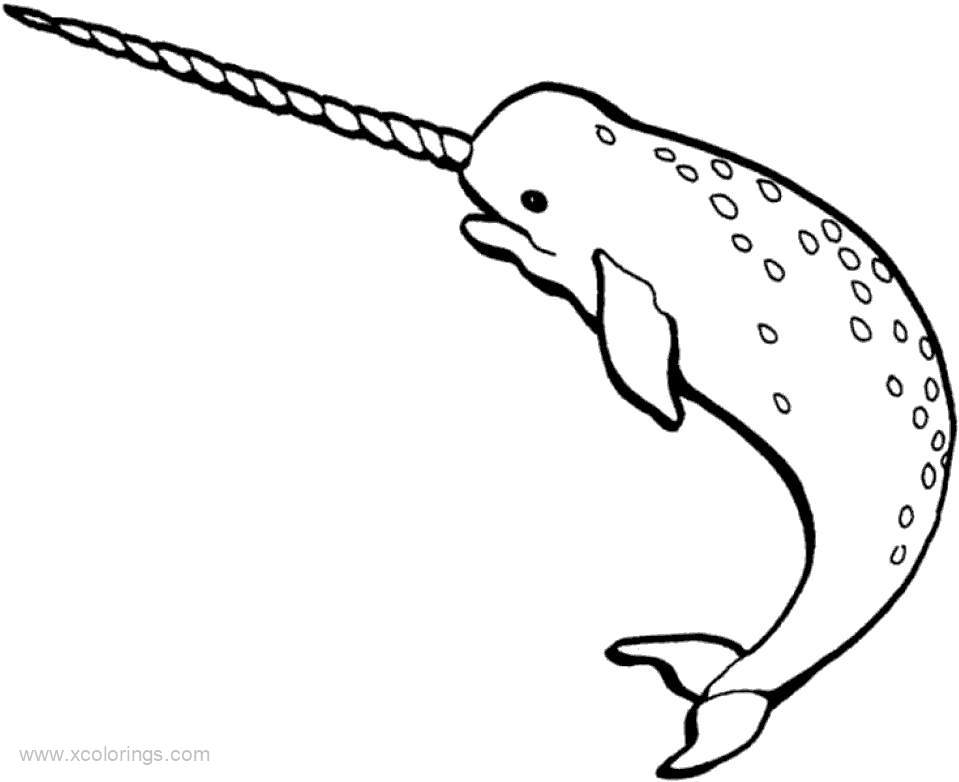 Narwhal Coloring Pages Printable - XColorings.com