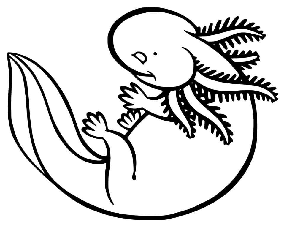 Little Axolotl Coloring Page - Free Printable Coloring Pages for Kids