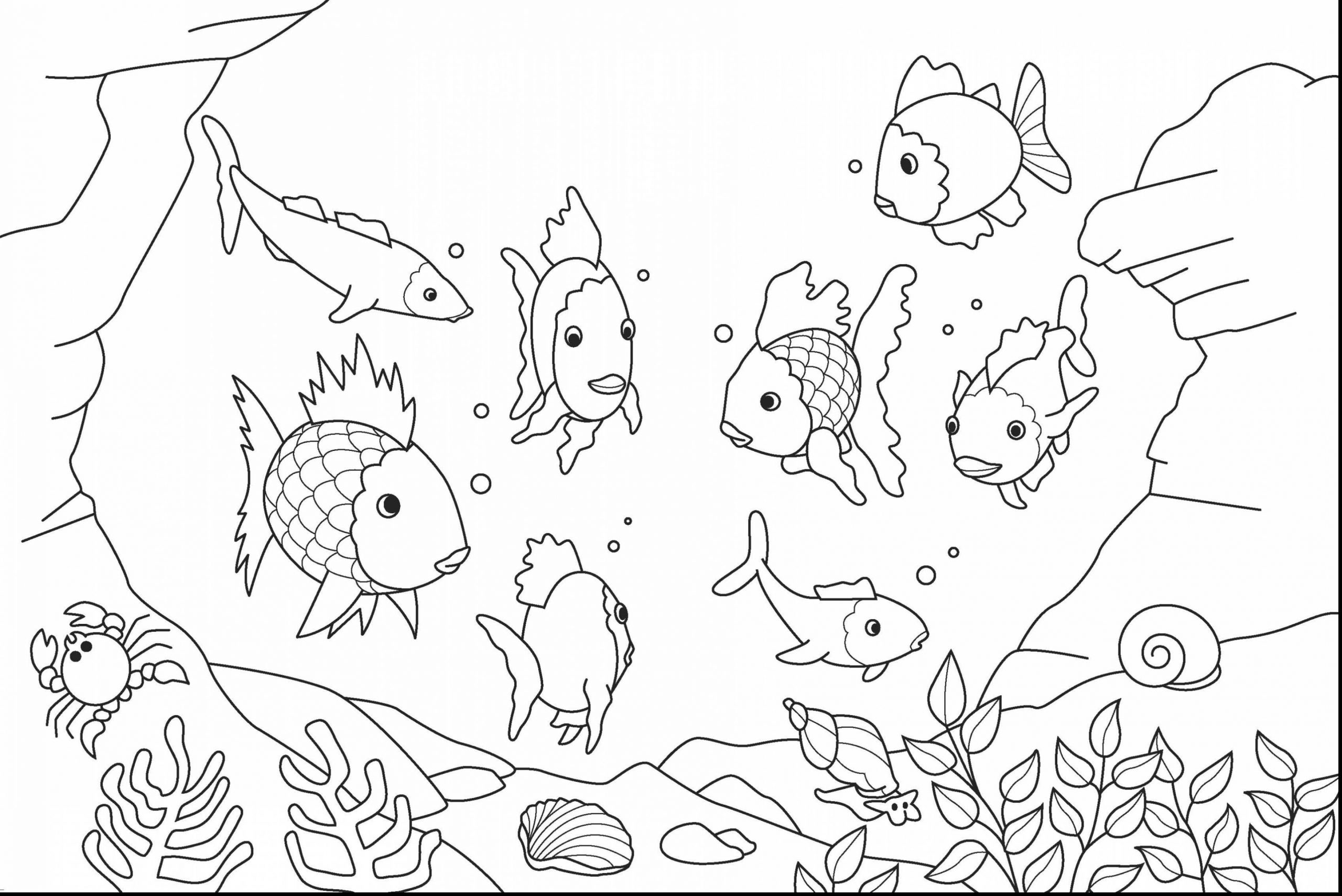 Ocean Life Coloring Pages Detailed Pictures Of Boy Preschool ...