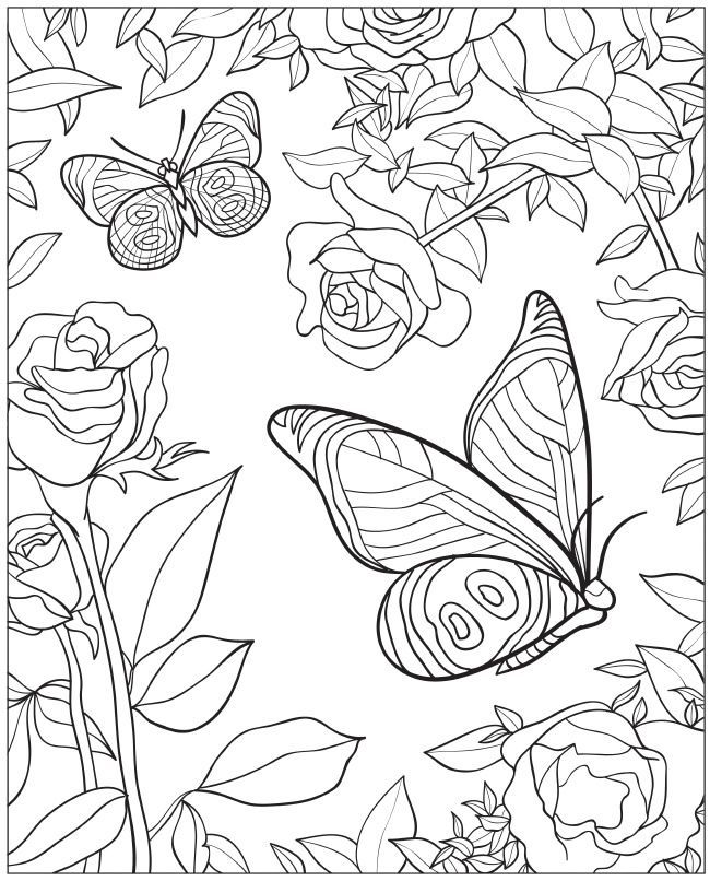 Dover Creative Haven Beautiful Butterfly Coloring Book | Beautiful ...