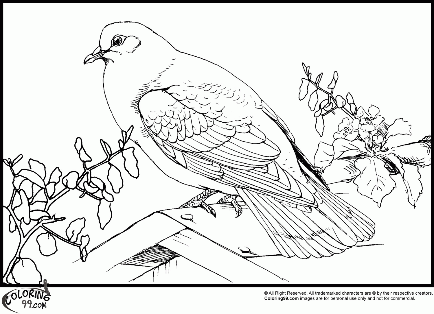 Free Dove Coloring Page - Coloring Home