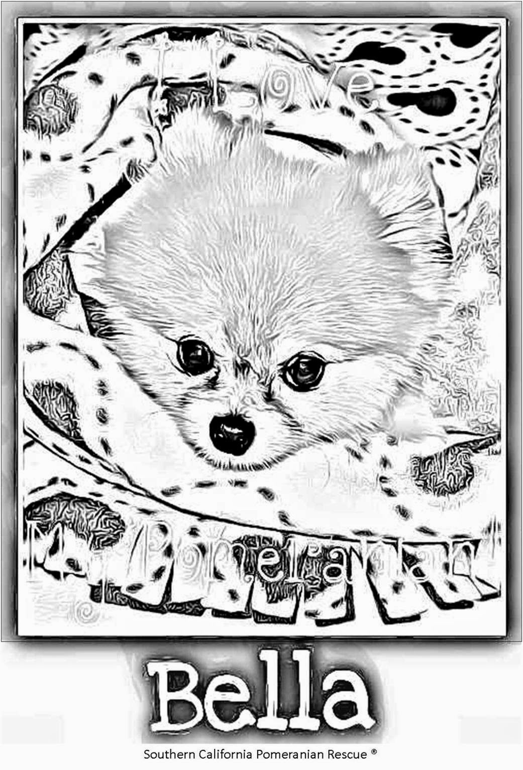 Christmas Pomeranian Puppies Coloring Pages